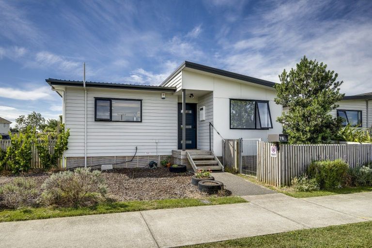 Photo of property in 78 Geddis Avenue, Maraenui, Napier, 4110