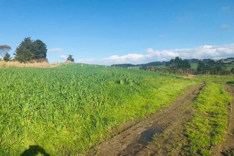 Photo of property in 714 Pakaru Road, Kawakawa, 0282