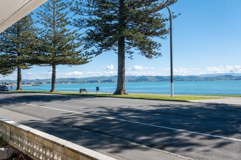 Photo of property in 64 Hardinge Road, Ahuriri, Napier, 4110