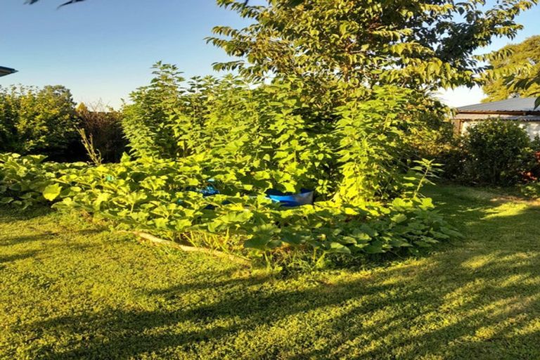 Photo of property in 115 Pine Drive, Murupara, 3025