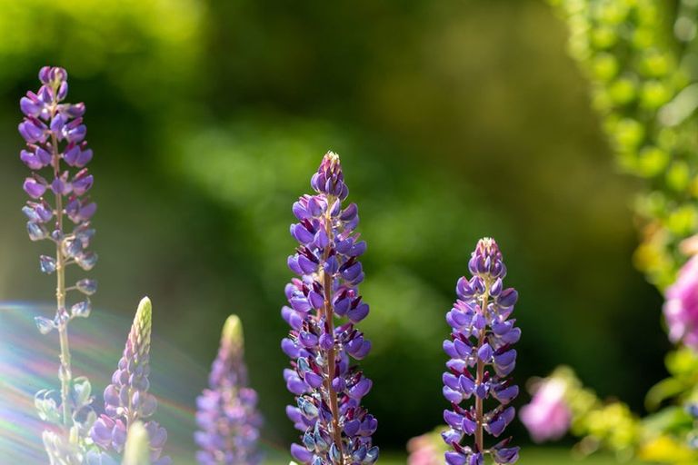 Photo of property in 1234 Paekakariki Hill Road, Paekakariki Hill, Porirua, 5381
