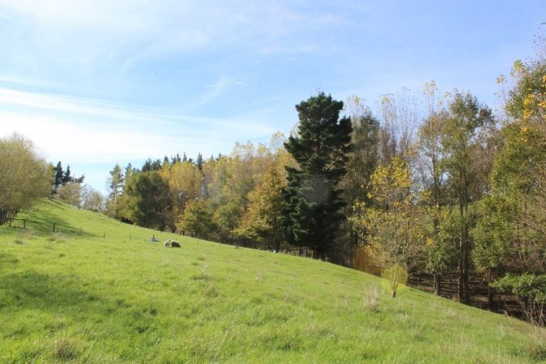 Photo of property in 175 Umutaoroa Road, Dannevirke, 4978