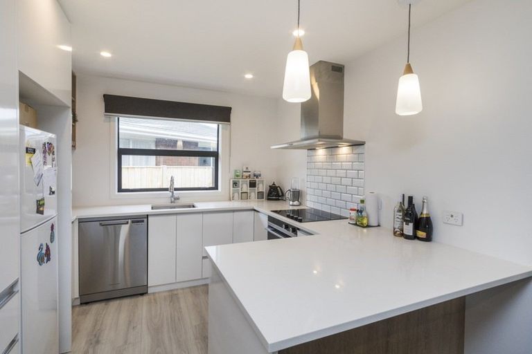 Photo of property in 3b Christian Place, Awapuni, Palmerston North, 4412