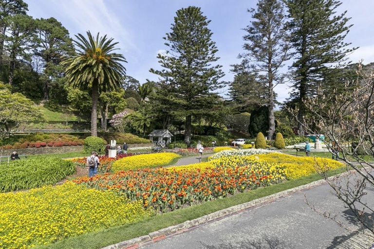 Photo of property in 10 Barton Terrace, Thorndon, Wellington, 6011