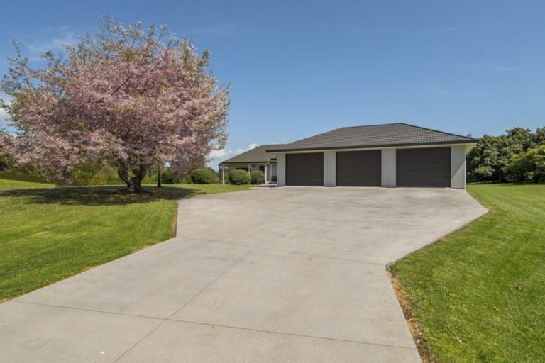 Photo of property in 257 Te Puna Road, Te Puna, Tauranga, 3176