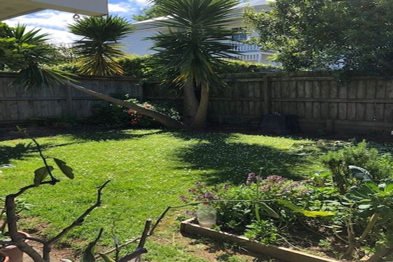 Photo of property in 45a Anglesea Street, Freemans Bay, Auckland, 1011
