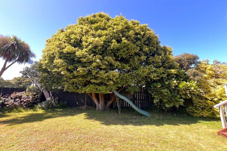 Photo of property in 123 Queens Drive, Lyall Bay, Wellington, 6022