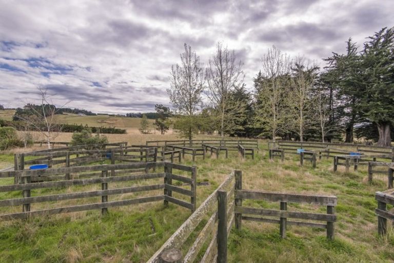 Photo of property in 327 Catherwoods Road, Cust, Rangiora, 7471