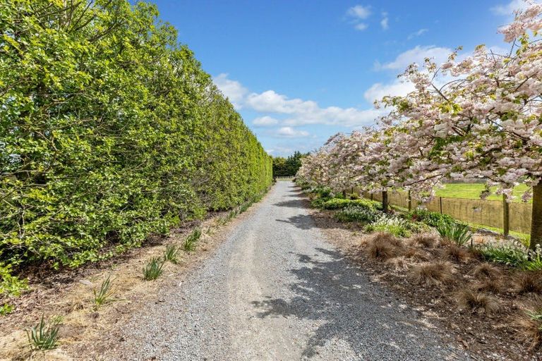 Photo of property in 74 Adams Road, West Melton, Christchurch, 7676