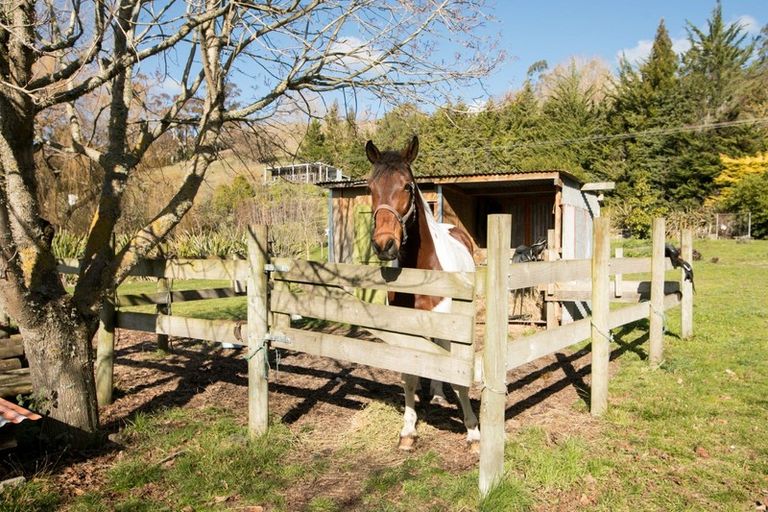 Photo of property in 87b Ongaonga Road, Waipawa, 4272