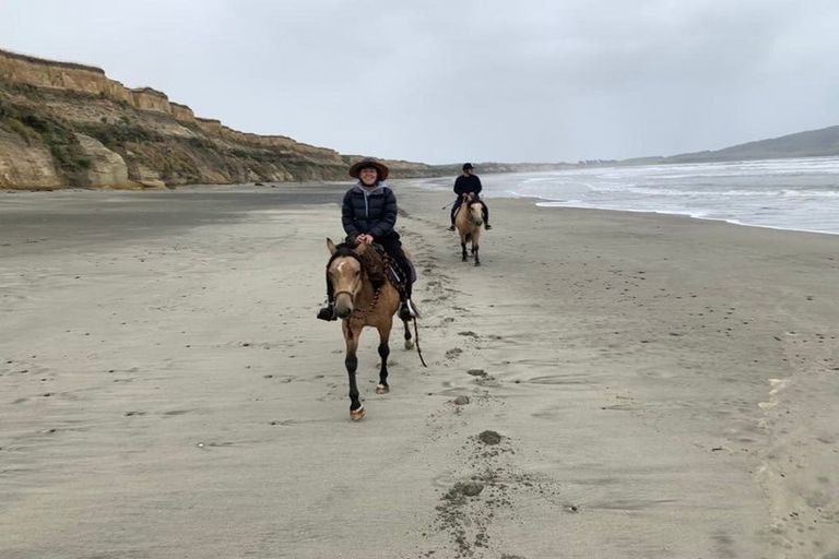 Photo of property in 95 Frentz Road, Pahia, Riverton, 9881