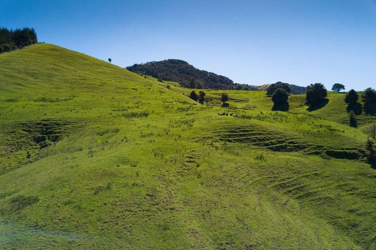 Photo of property in 299 Peria Road, Peria, Kaitaia, 0482