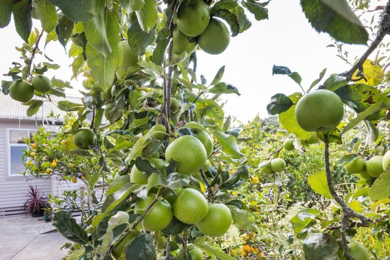 Photo of property in 127 North Street, Ashhurst, 4810