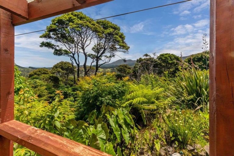 Photo of property in 800 Buffalo Road, Coromandel, 3506