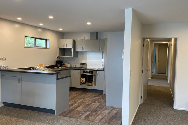 Photo of property in 31a Torrens Road, Hillmorton, Christchurch, 8024