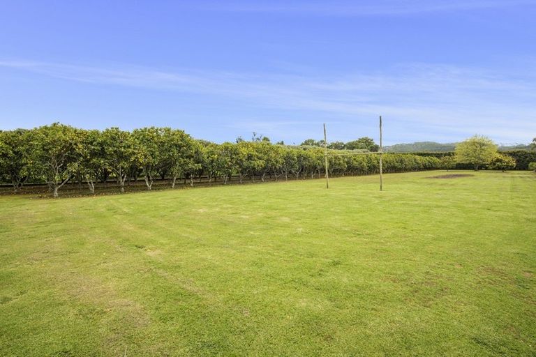 Photo of property in 21 Richards Road, Kauri, Kamo, 0185