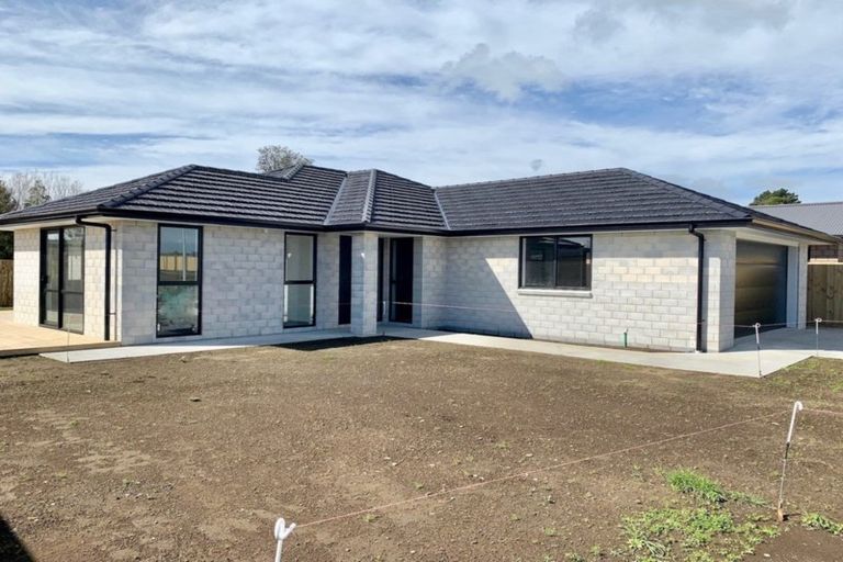 Photo of property in 14 Tangaroa Street, Waitara, 4320