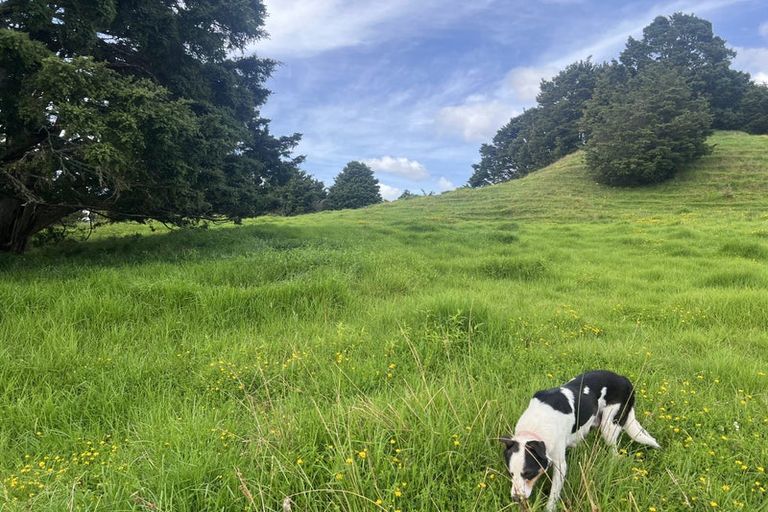 Photo of property in 492 Wairere Road, Paparoa, 0571