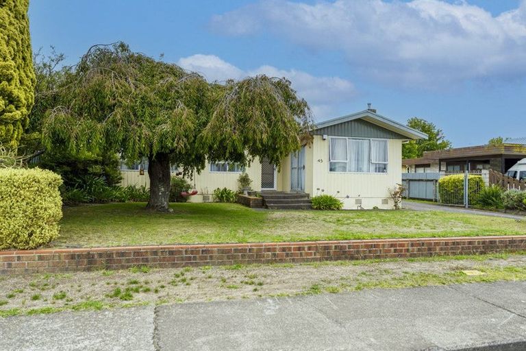 Photo of property in 45 Caernarvon Drive, Flaxmere, Hastings, 4120