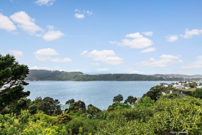 Photo of property in 157 Grafton Road, Roseneath, Wellington, 6011