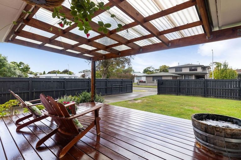 Photo of property in 17 Salisbury Avenue, Terrace End, Palmerston North, 4410