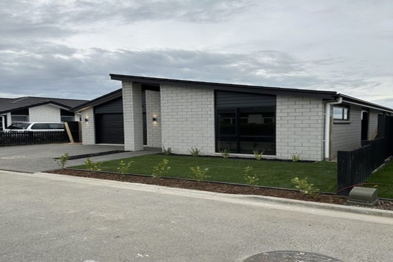 Photo of property in 51 Probert Crescent, Chartwell, Hamilton, 3210