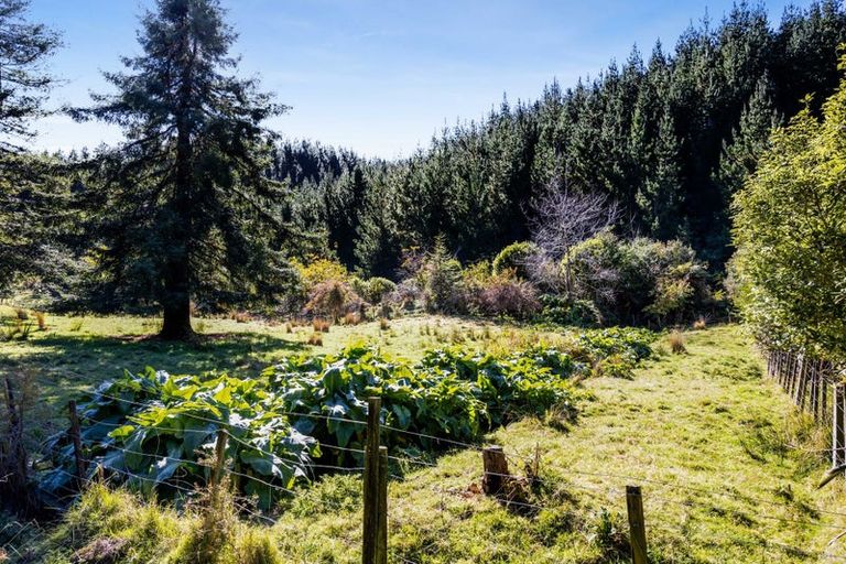 Photo of property in 749 Motukawa Road, Tarata, Inglewood, 4387