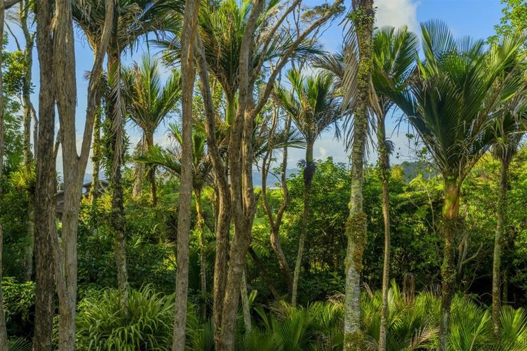 Photo of property in 68 Tarapatiki Drive, Whitianga, 3510