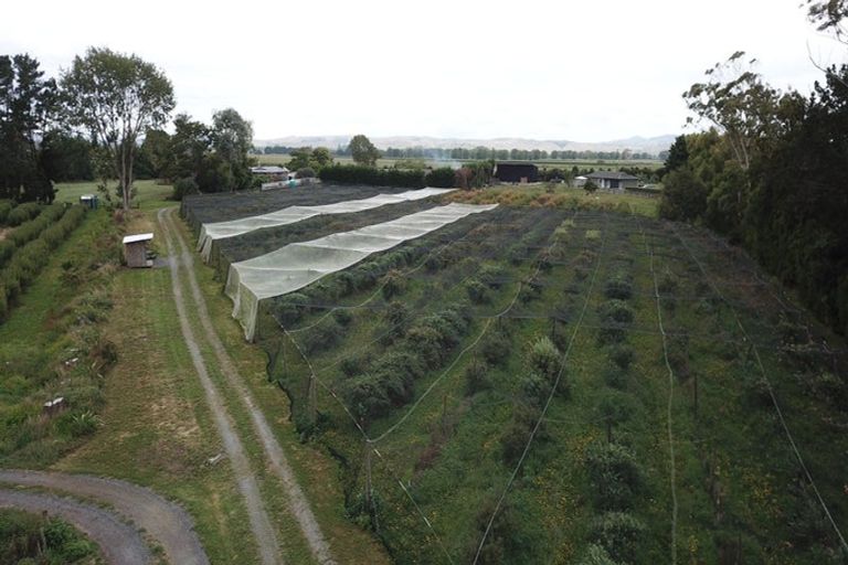 Photo of property in 549a Seddon Road, Gordonton, Hamilton, 3287