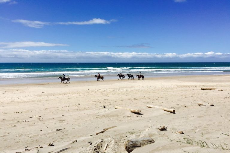 Photo of property in 119 Wairere Road, Wainui, Gisborne, 4010