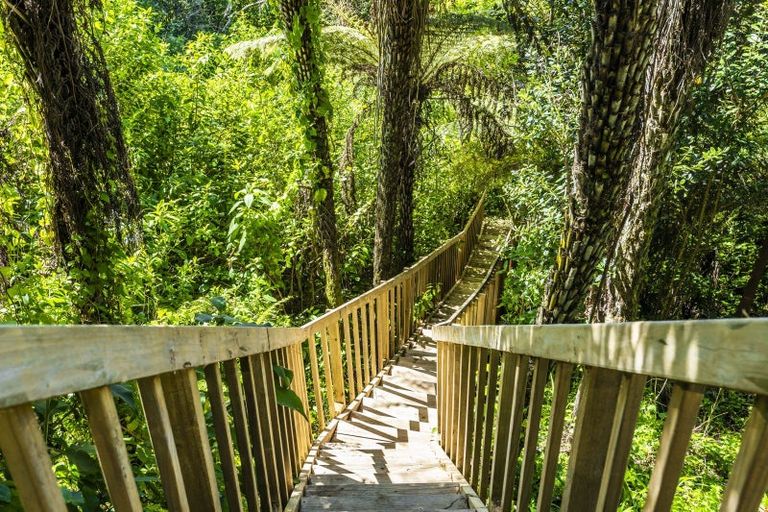 Photo of property in 36 Goodall Street, Hillsborough, Auckland, 1042