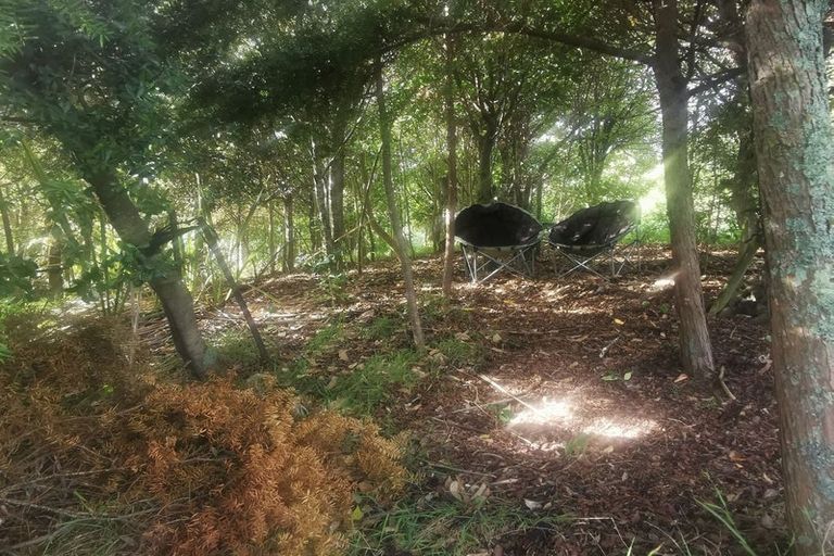 Photo of property in 16b Springfield Avenue, Ngarimu Bay, Thames, 3575