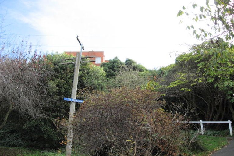 Photo of property in 4 Strathmore Crescent, Roslyn, Dunedin, 9010