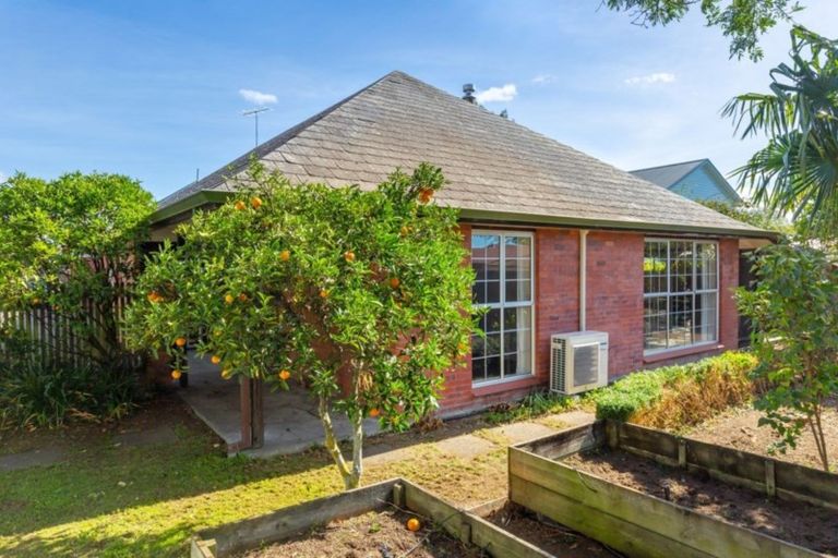 Photo of property in 2/101 Maxwell Road, Blenheim, 7201