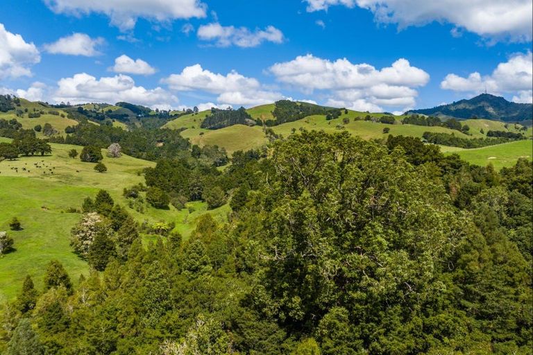 Photo of property in 395 Tangihua Road, Maungakaramea, Whangarei, 0178