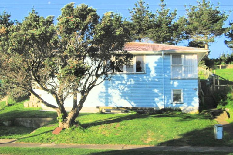 Photo of property in 17 Northumberland Street, Cannons Creek, Porirua, 5024