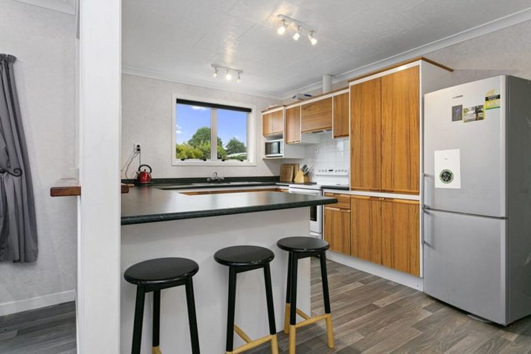 Photo of property in 113 Buckland Street, Putaruru, 3411