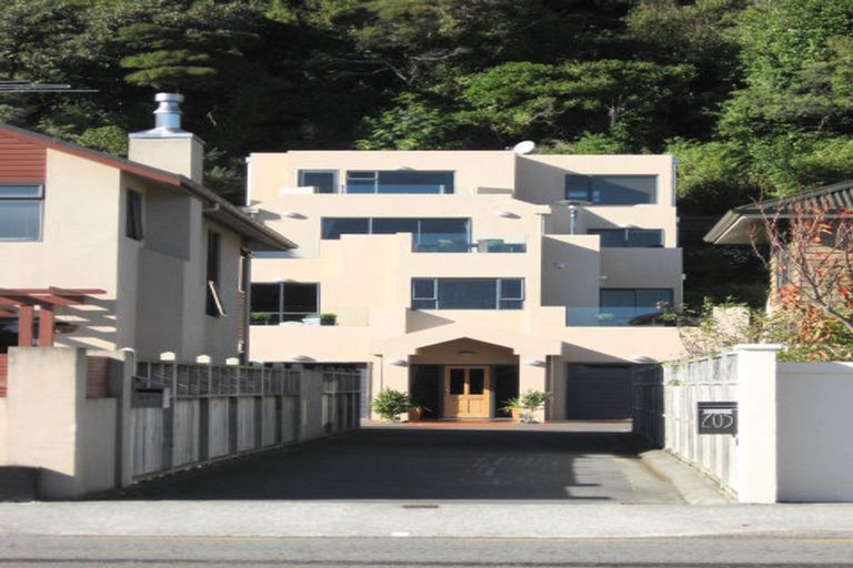 Photo of property in 203 Muritai Road, Eastbourne, Lower Hutt, 5013