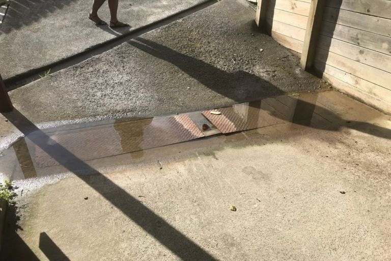 Photo of property in 1/13 Exeter Place, Unsworth Heights, Auckland, 0632