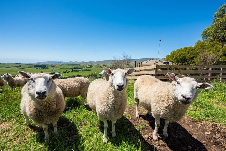 Photo of property in 75 Kahu Way, Hawkesbury, Blenheim, 7272