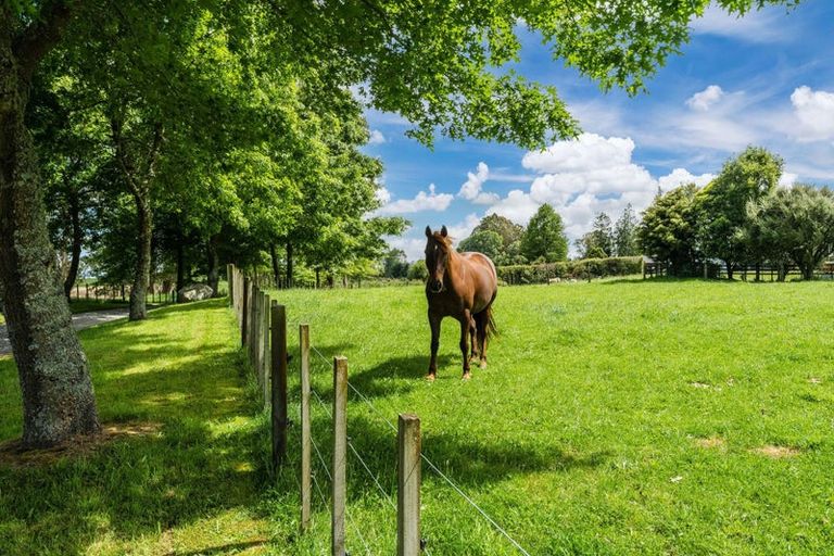 Photo of property in 718 Oruanui Road, Oruanui, Taupo, 3384