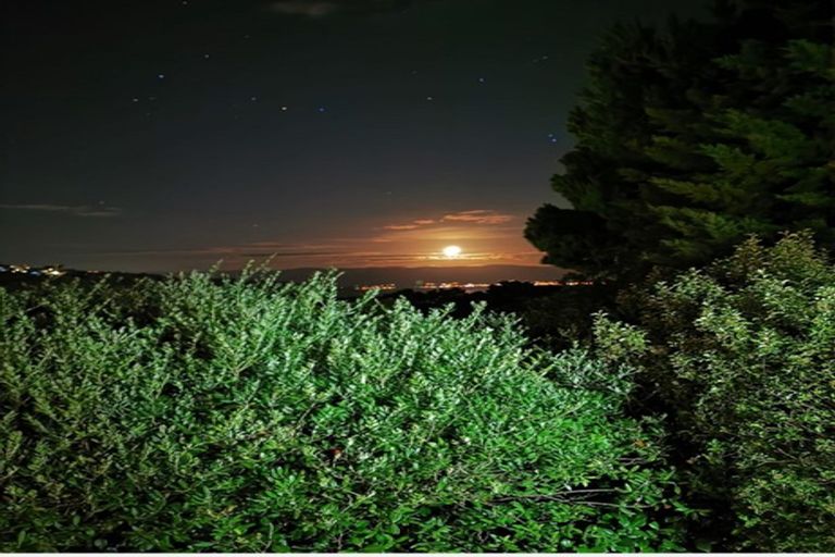 Photo of property in 3 Rajkot Terrace, Broadmeadows, Wellington, 6035