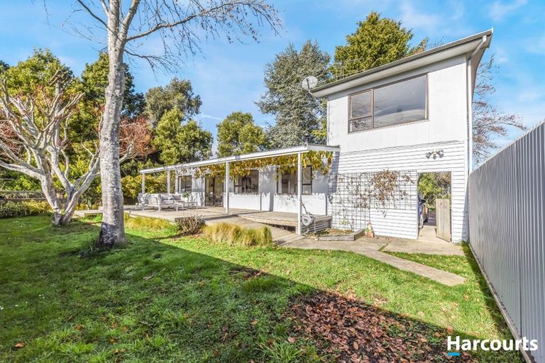Photo of property in 117 Staples Street, Motueka, 7120