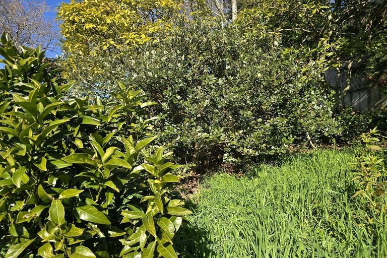 Photo of property in 177b Old Kaimai Road, Lower Kaimai, Tauranga, 3171