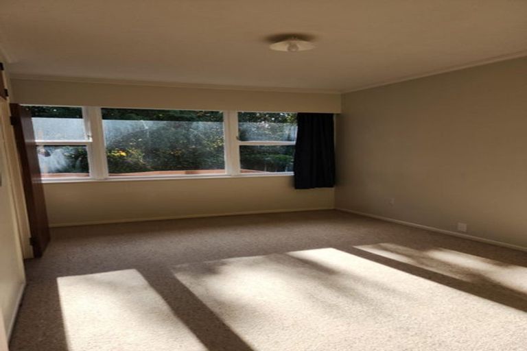Photo of property in 44 Taylor Terrace, St Andrews, Hamilton, 3200