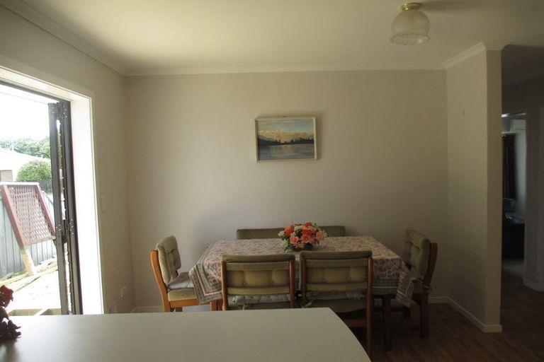 Photo of property in 17 Douglas Street, Levin, 5510