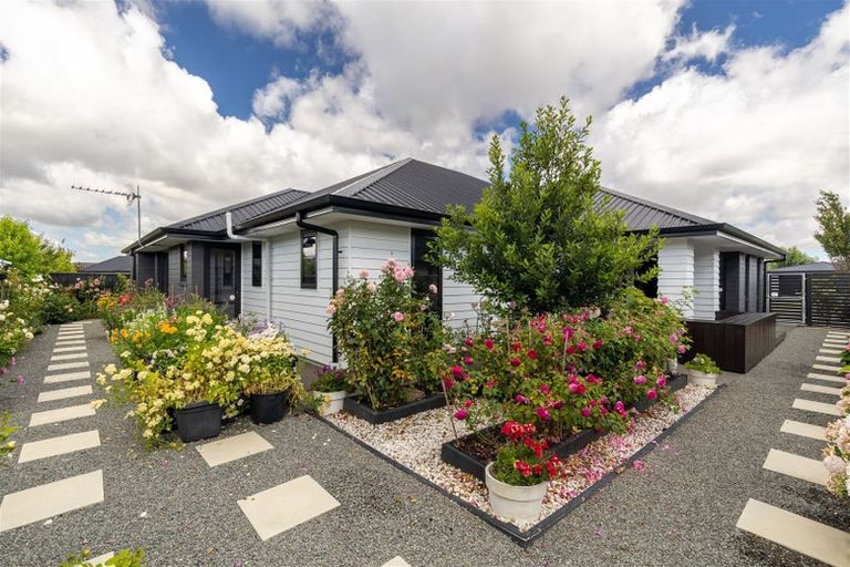 Photo of property in 31 Bronco Drive, Aidanfield, Christchurch, 8025