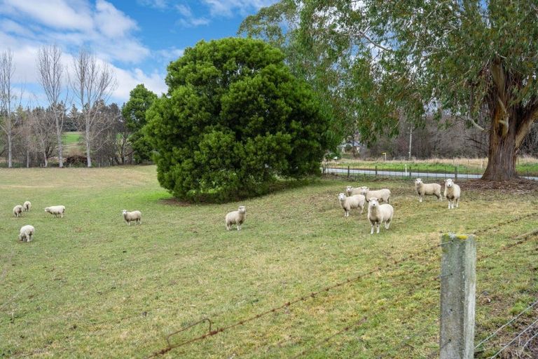 Photo of property in 6 Domain Road, Dunback, Palmerston, 9483