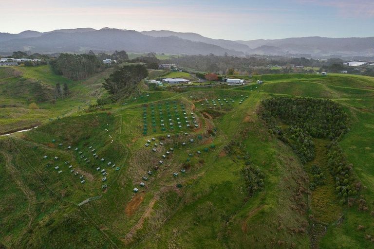 Photo of property in 265 Hot Springs Road, Tahawai, Katikati, 3178