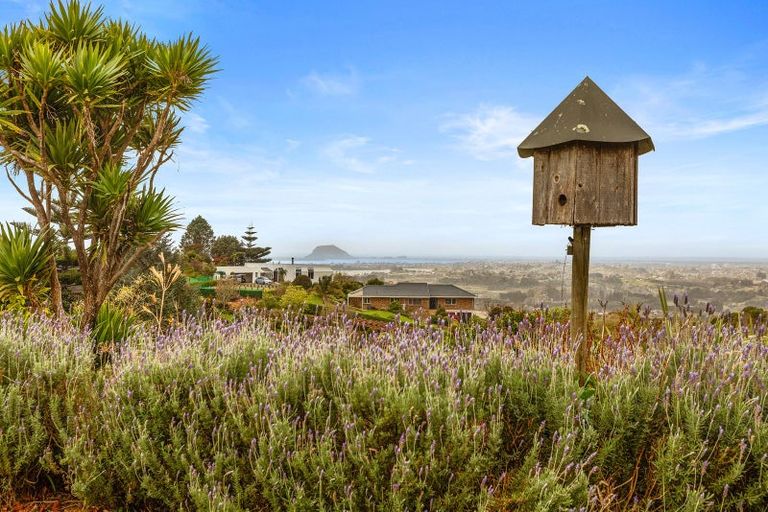 Photo of property in 4 Dawn View Place, Minden, Tauranga, 3176